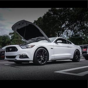 Meet your Posher, Scott